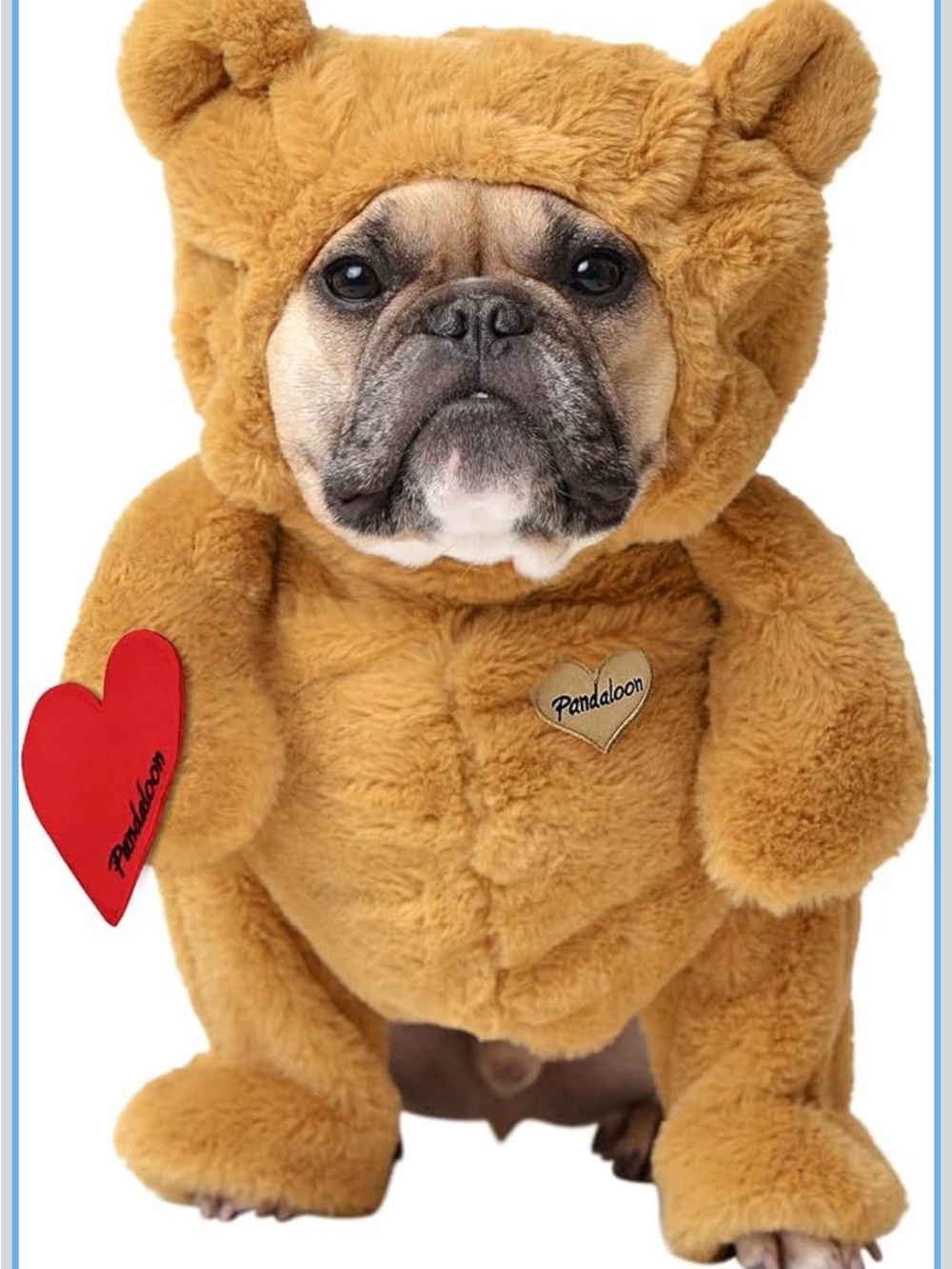 Pandaloon Teddy Bear Funny Costume w/Arms for Small and Medium Dogs and Cats
